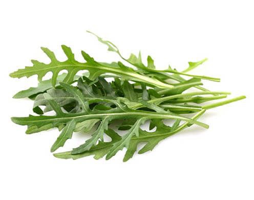 Руккола вагова